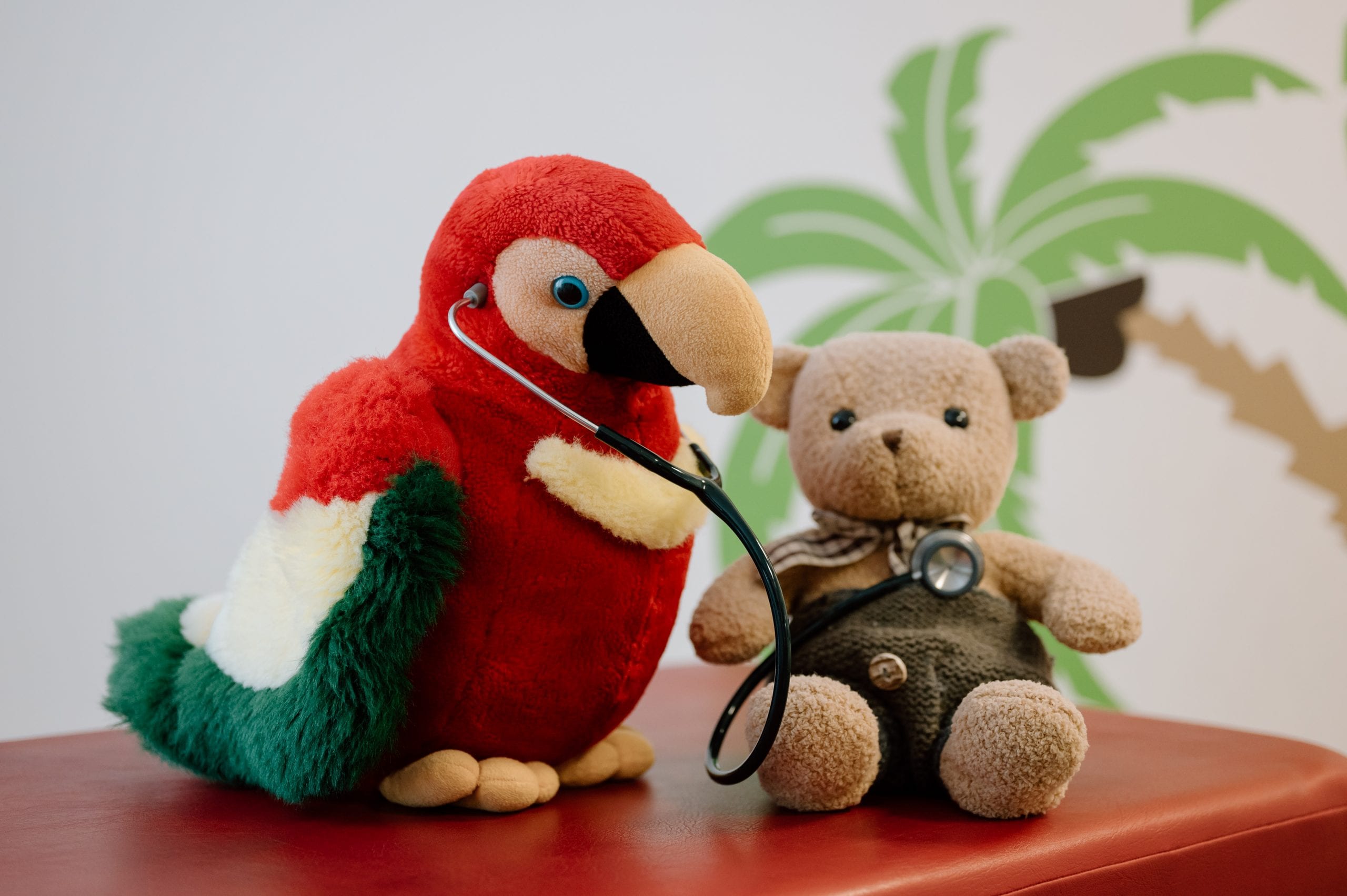 Dr. Papagei und Bär
